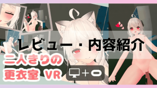二人きりの更衣室 VR レビュー