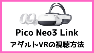 Pico Neo3 Link アダルトVR 視聴　方法