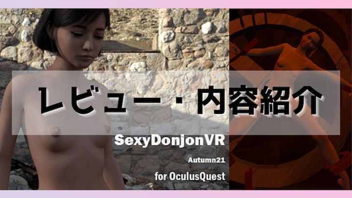 SexyDonjon - VR Sex Experience レビュー