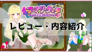 VRフェアリータッチ-レビューアイキャッチ