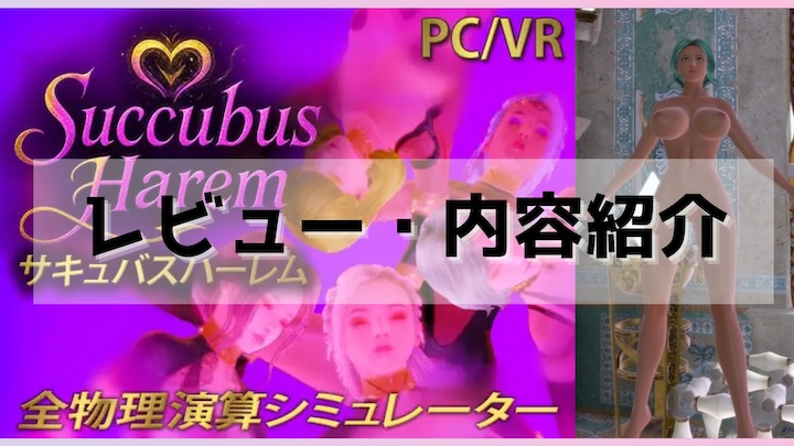 サキュバスハーレムレビュー