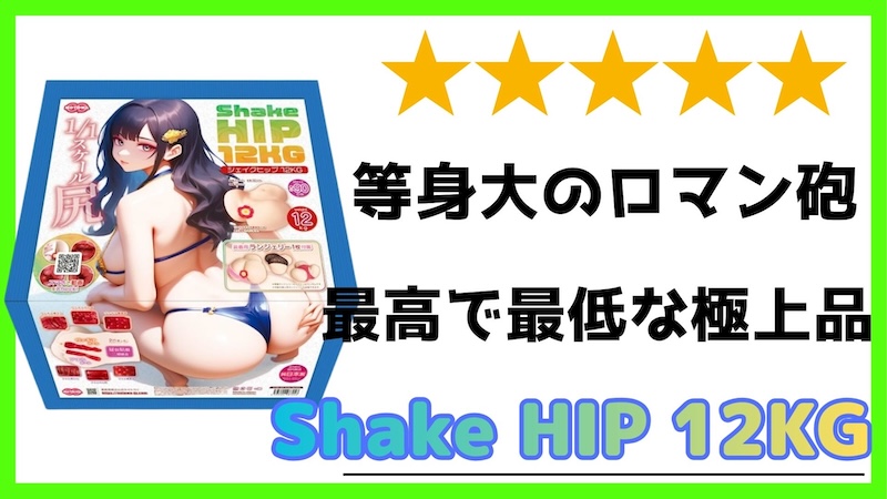 Shake-HIP-12KG-レビュー