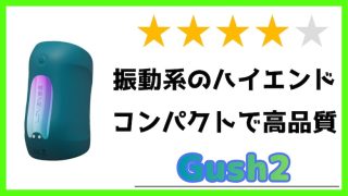 Lovense Gush2 レビュー